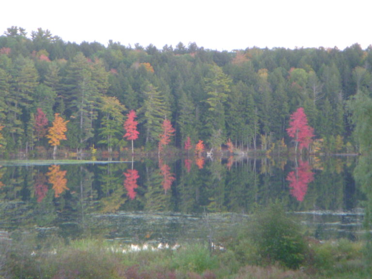 On The Road - JanieM - Fall Color Part IV - Trees and Water 4