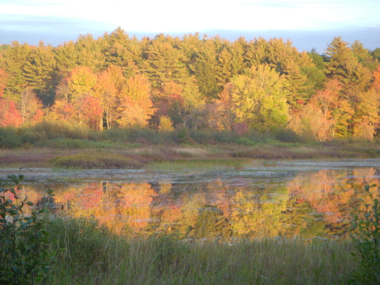 On The Road - JanieM - Fall Color Part IV - Trees and Water 3