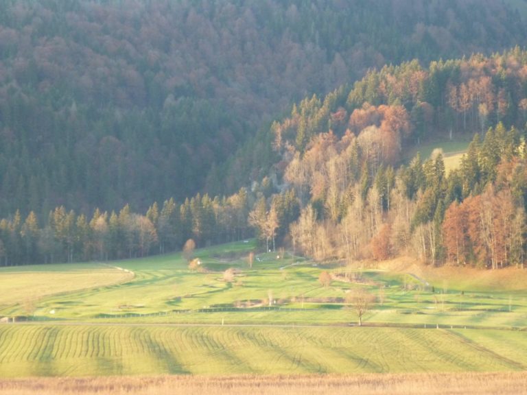 On The Road - way2blue - Walchsee Fall Color 4