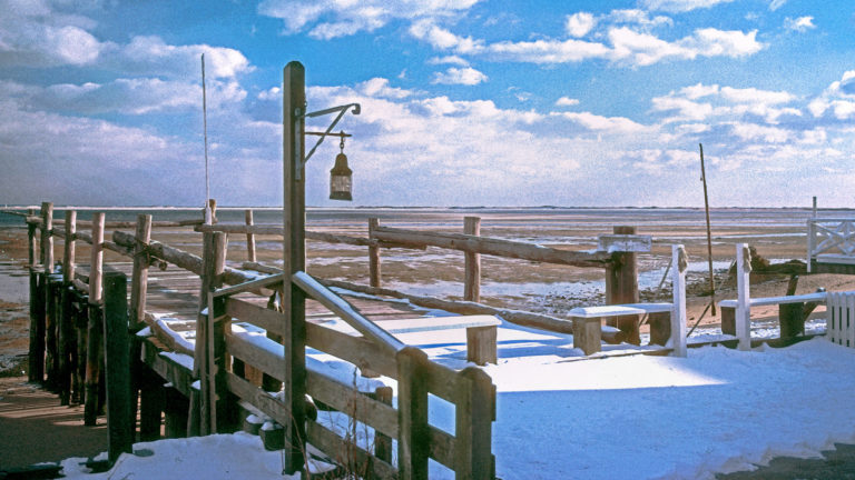 On The Road - Steve from Mendocino - Provincetown 4