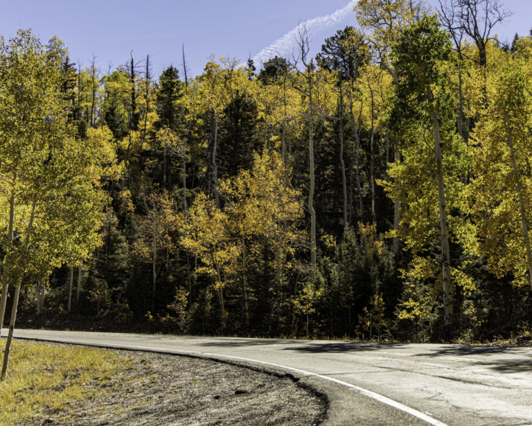 On The Road - Karen H - La Veta, CO 6