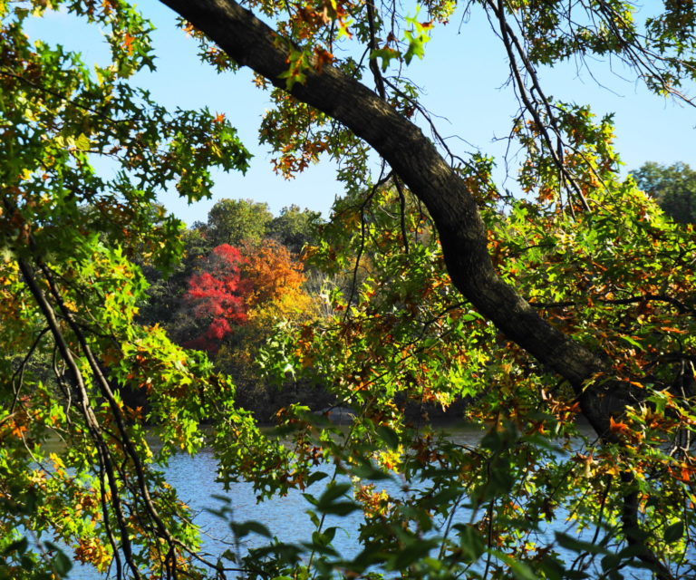 On The Road - ema - Fall Colors 1