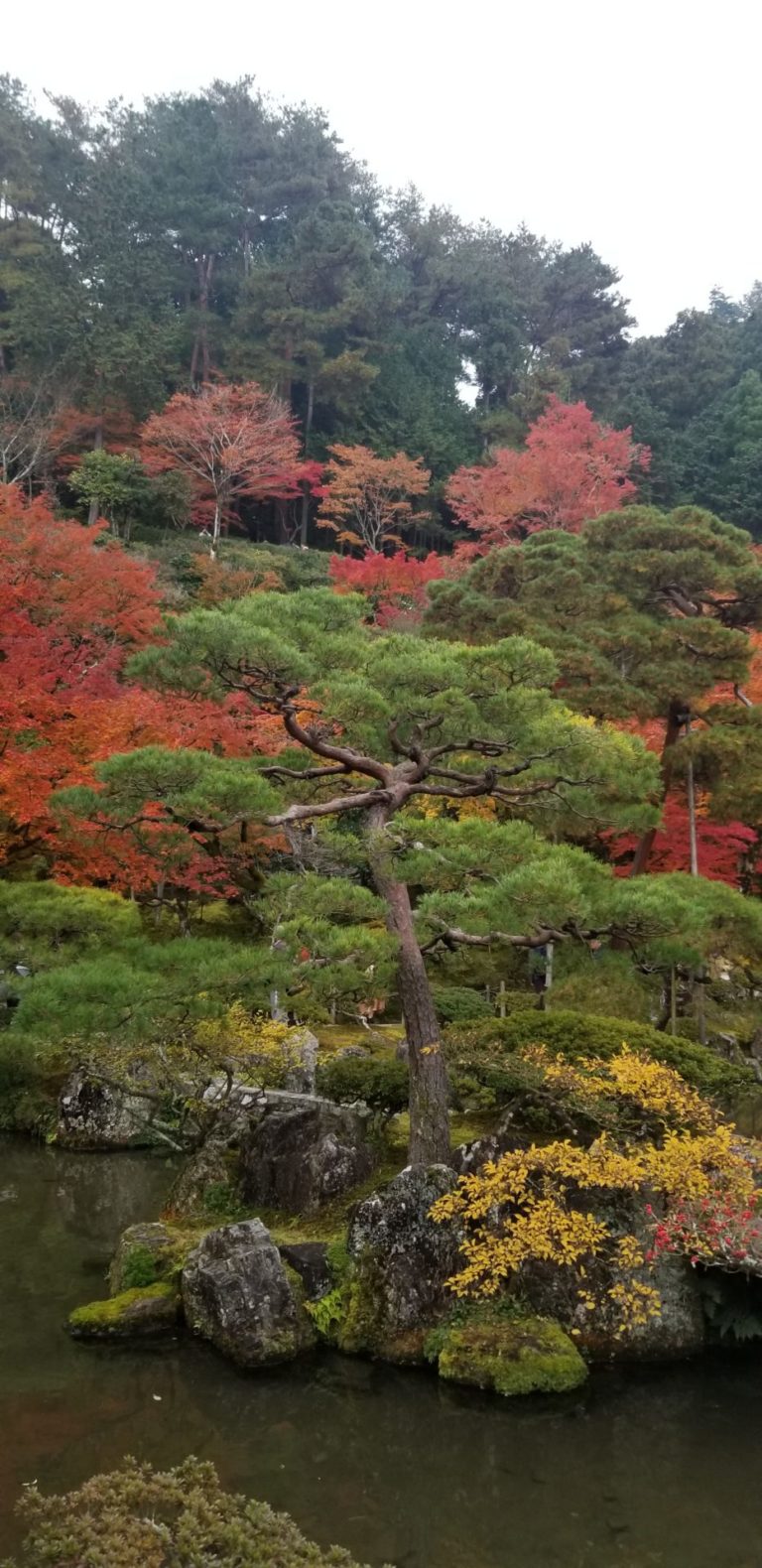 On The Road - Pharniel - Kyoto In Fall 3