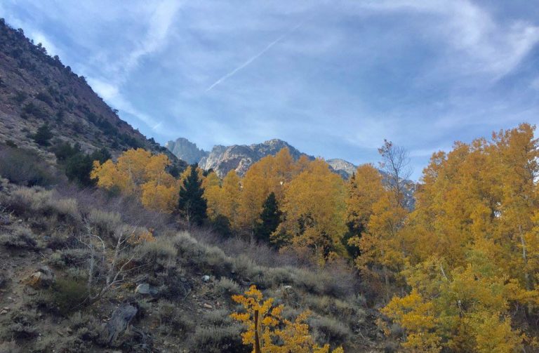 On The Road - UncleEbeneezer - Eastern Sierra Fall Color 2017 2
