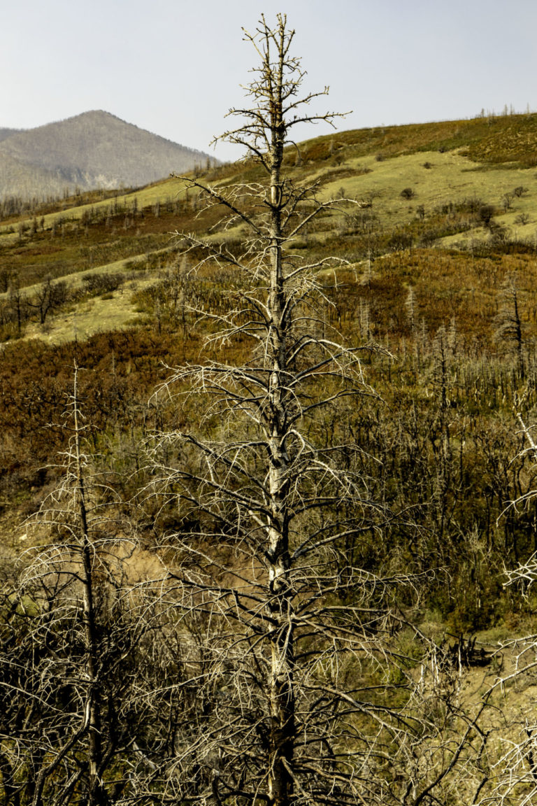 On The Road - Karen H - La Veta, CO 4