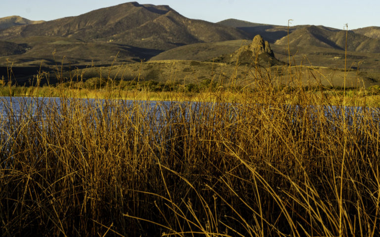 On The Road - Karen H - La Veta, CO 7