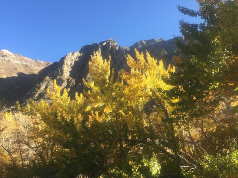 On The Road - UncleEbeneezer - Eastern Sierra Fall Color 2017 6