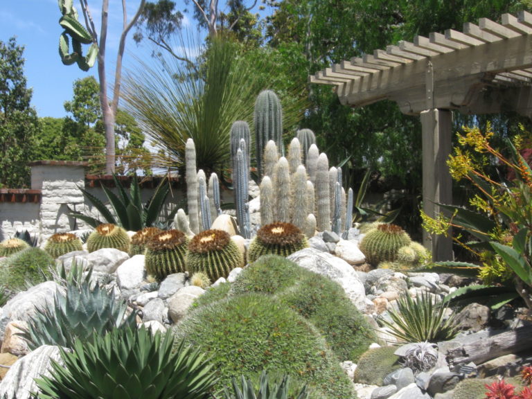 On The Road - Mary G - Sherman Gardens Cactus & Succulents 2