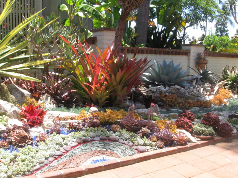 On The Road - Mary G - Sherman Gardens Cactus & Succulents 6