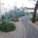 On The Road - J R in WV - Tucson Desert Garden photos 3