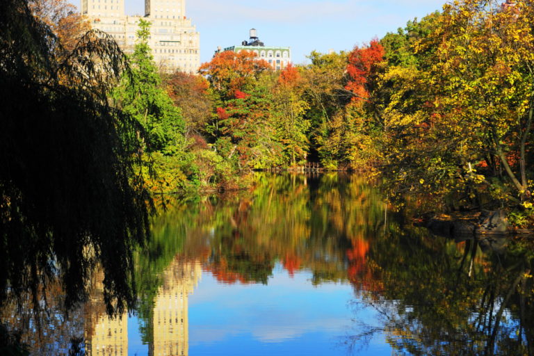 On The Road - ema - Fall Colors 3