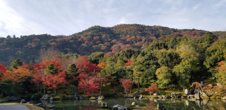 On The Road - Pharniel - Kyoto In Fall