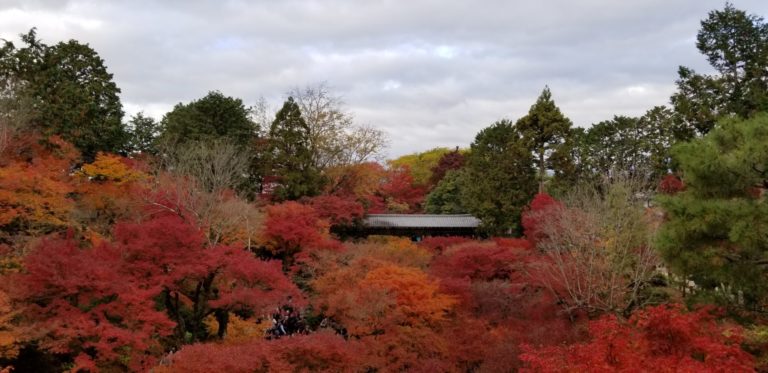 On The Road - Pharniel - Kyoto In Fall 6