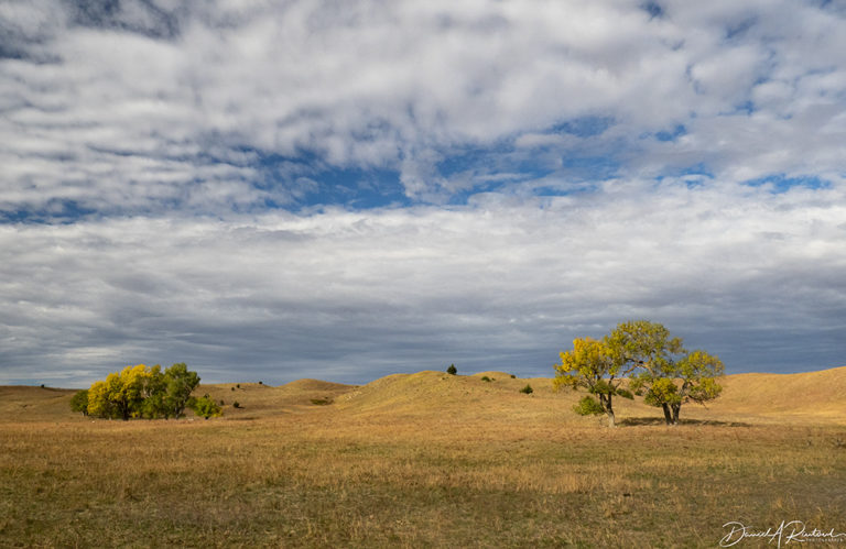 On The Road - Albatrossity - October in the Sandhills #2 3