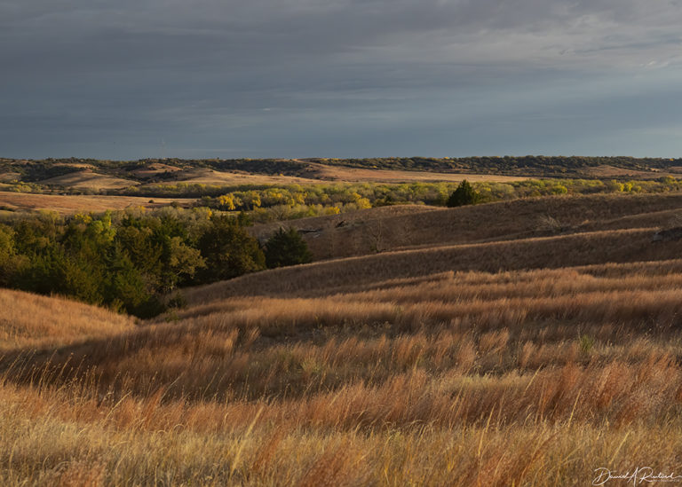 On The Road - Albatrossity - October in the Sandhills #1 8