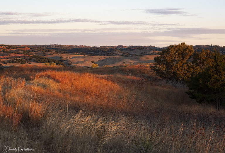 On The Road - Albatrossity - October in the Sandhills #2 2