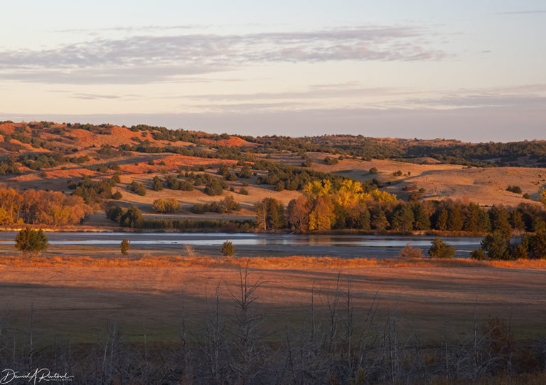 On The Road - Albatrossity - October in the Sandhills #1 6