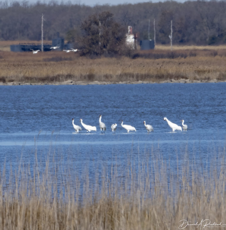 On The Road - Albatrossity - Fall in Flyover Country #3 4