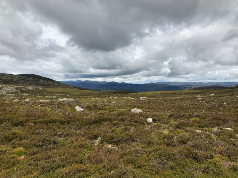 On The Road - way2blue - Cairngorms National Park, Scotland 7