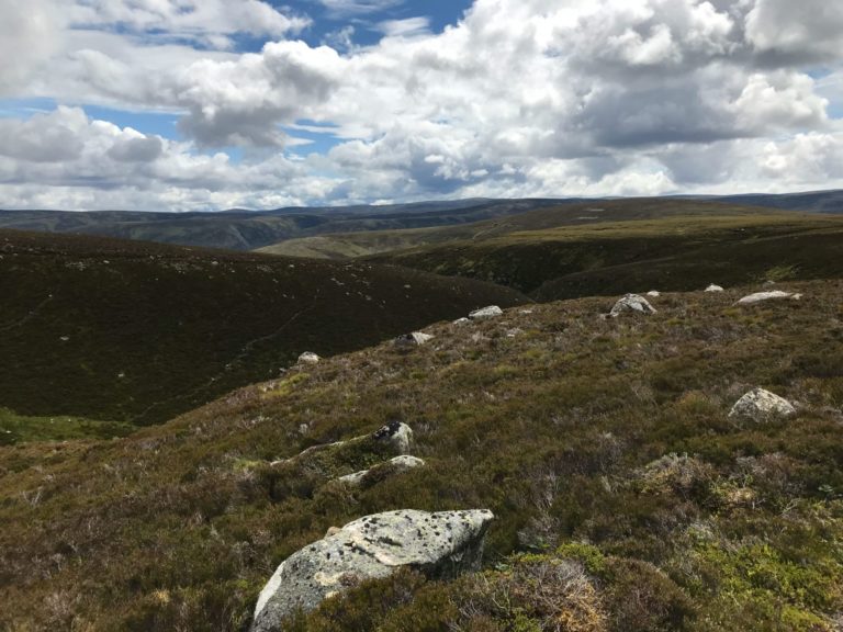 On The Road - way2blue - Cairngorms National Park, Scotland 6