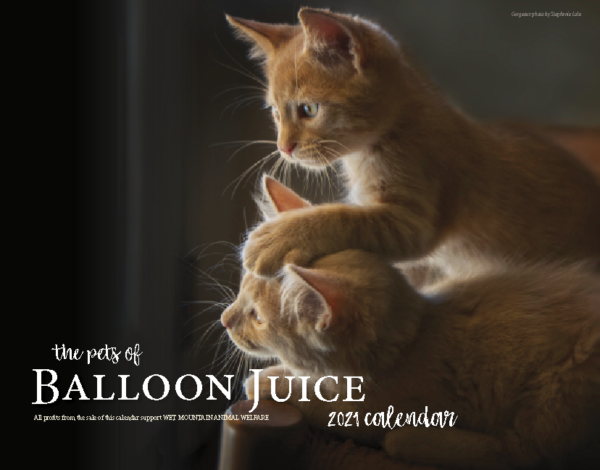 2021 Balloon Juice Pet Calendar: Calendar A