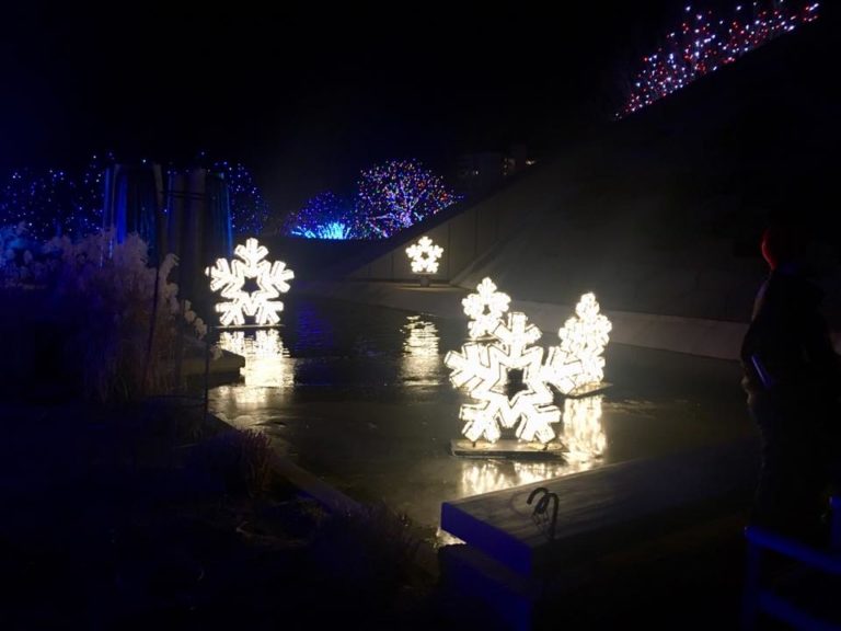 On The Road - UncleEbeneezer - "Blossoms of Light" at Denver Botanical Gardens, December 2018 1