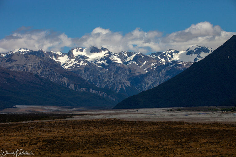 On The Road - Albatrossity - New Zealand - #3 9