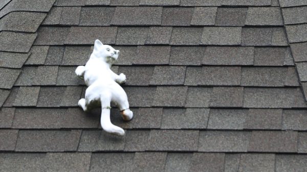 Cat on a Hot Tar Roof (Open Thread)