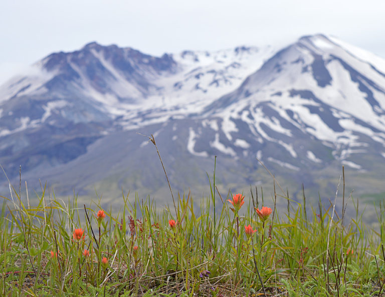 On The Road - Mike in Oly - Mt. St. Helens National Volcanic Monument 2