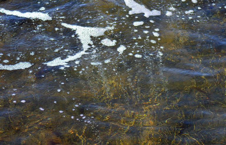 On The Road - Mike in Oly - Texture & Pattern in Nature: Water 9