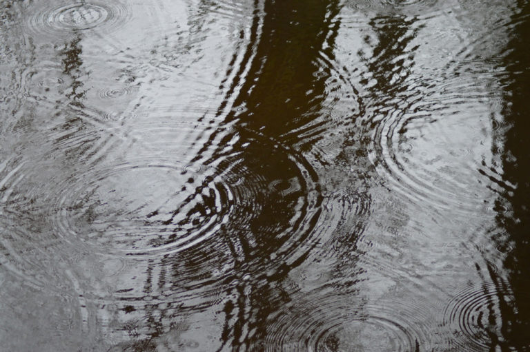 On The Road - Mike in Oly - Texture & Pattern in Nature: Water 8