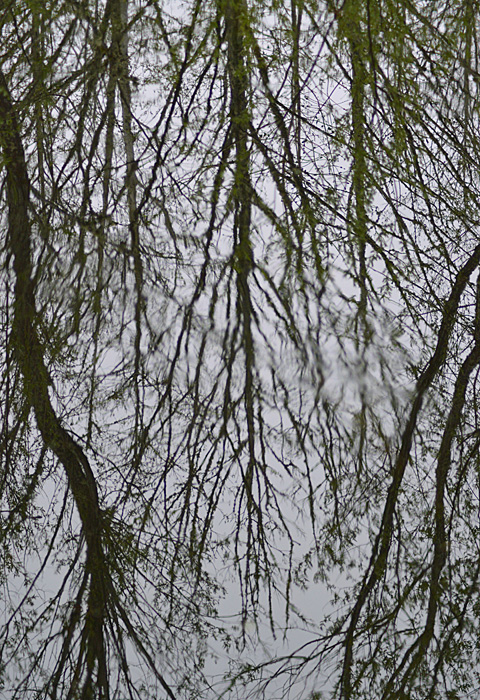 On The Road - Mike in Oly - Texture & Pattern in Nature: Water 7