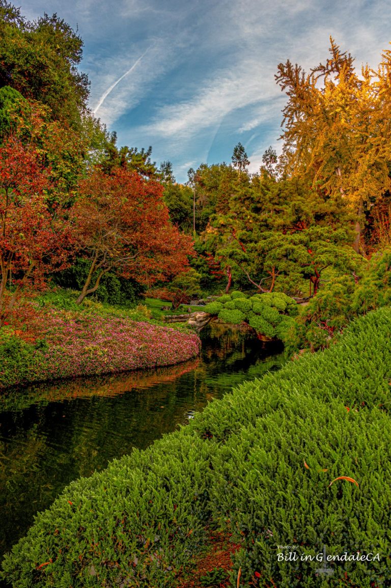 On The Road -  ?BillinGlendaleCA - In Search Of Fall Color (Japanese Garden at The Huntington). 7