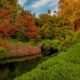 On The Road -  ?BillinGlendaleCA - In Search Of Fall Color (Japanese Garden at The Huntington). 7