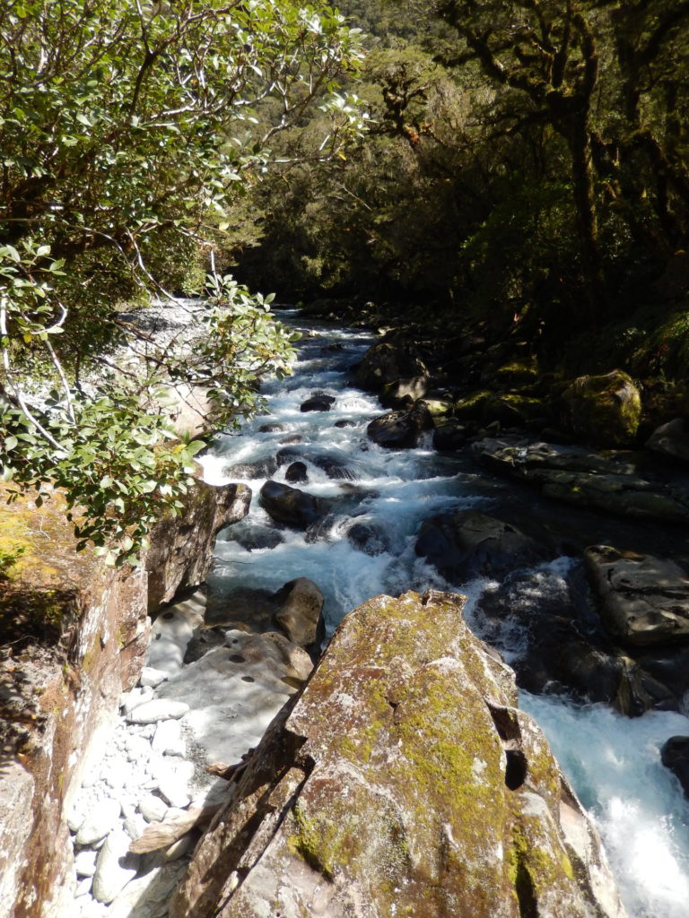 On The Road - Elma - Waterfalls From Two More Continents 3