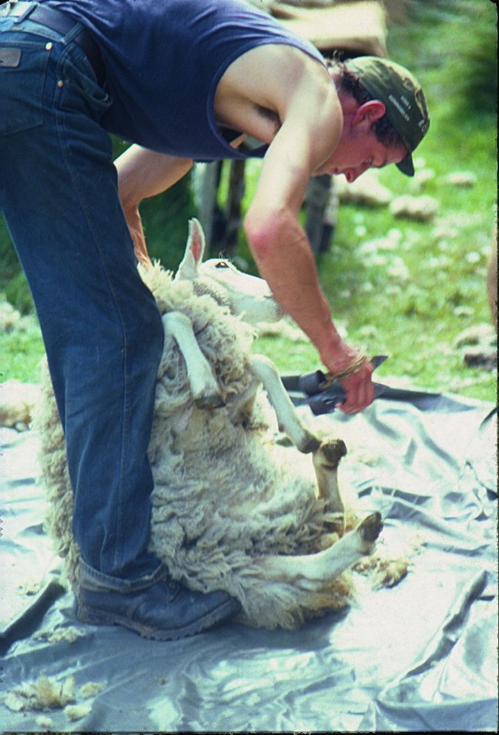 On The Road - cope - The Great Shearing, 1978 6