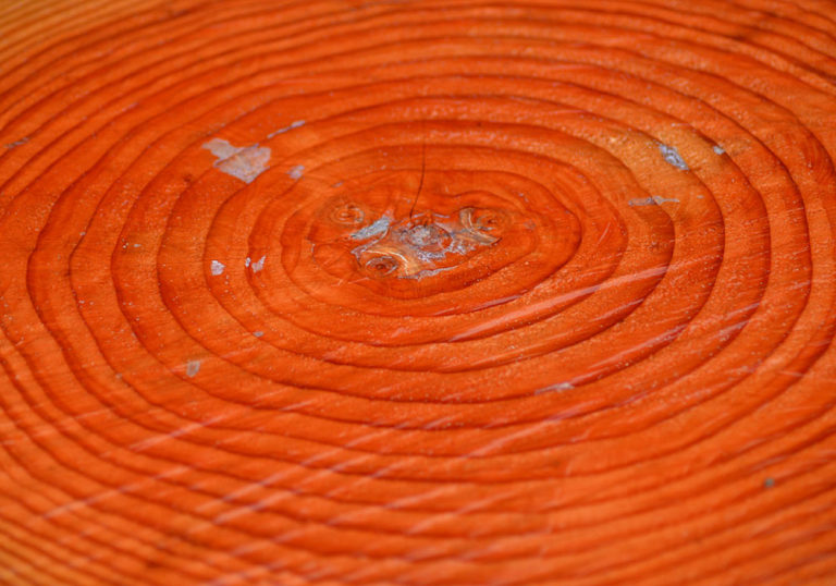 On The Road - Mike in Oly - Texture & Pattern in Nature: Wood 8