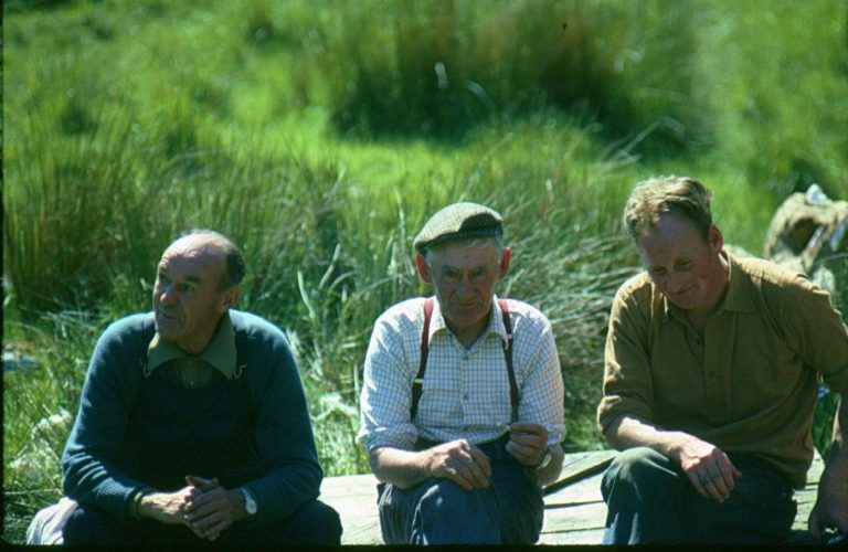 On The Road - cope - The Great Shearing, 1978 2