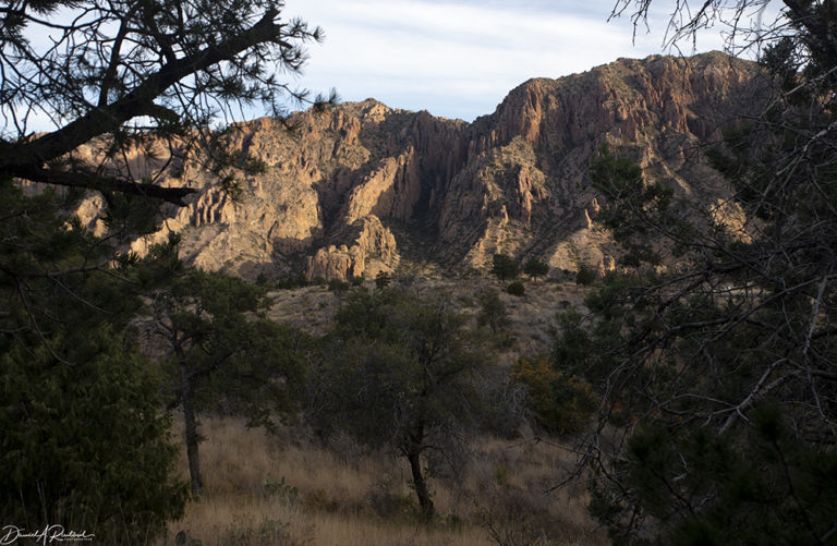 On The Road - Albatrossity - Big Bend National Park - #1 8