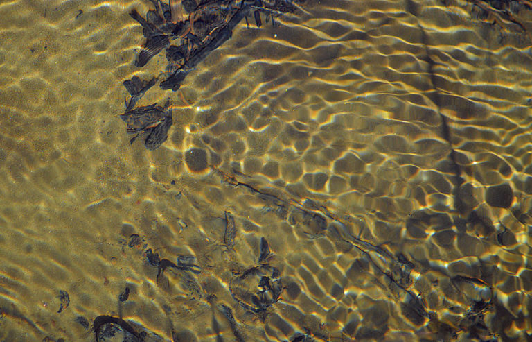 On The Road - Mike in Oly - Texture & Pattern in Nature: Water 6