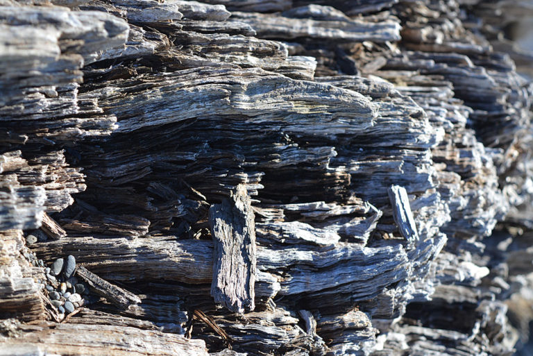 On The Road - Mike in Oly - Texture & Pattern in Nature: Wood 4