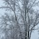 Open Thread: Happy New Year, Day 2