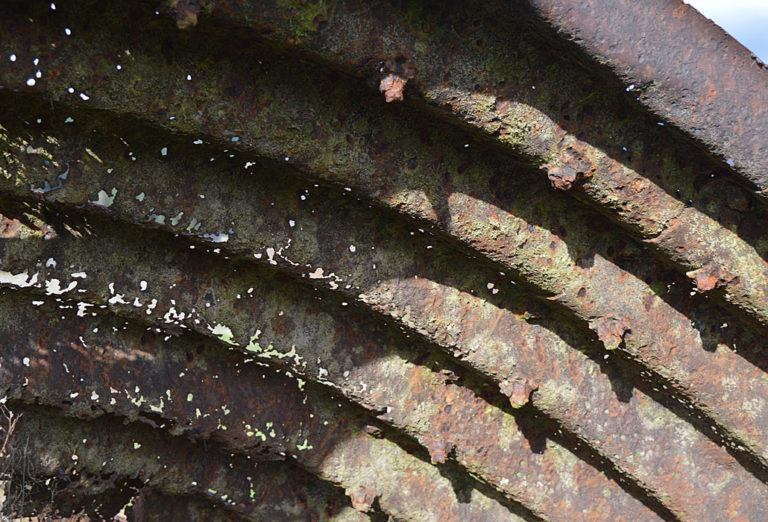 On The Road - Mike in Oly - Texture & Pattern in Nature: Metal 6