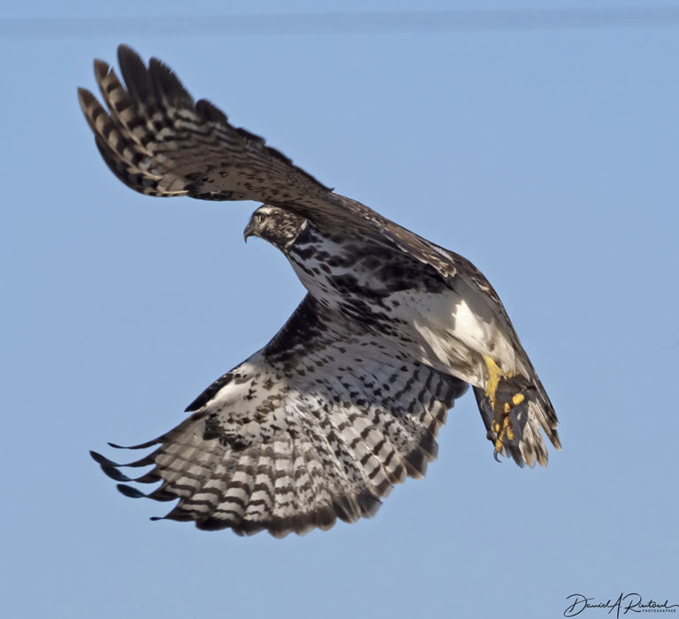 On The Road - Albatrossity - Winter in Flyover Country 2 4