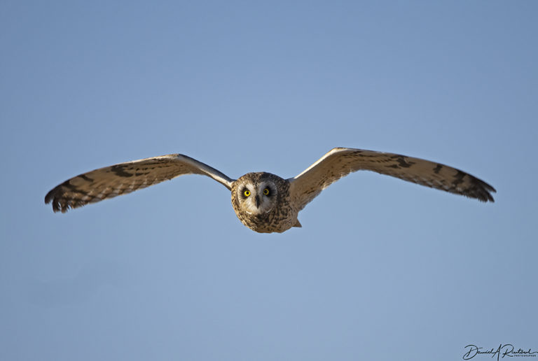 On The Road - Albatrossity - Winter in Flyover Country 2 5