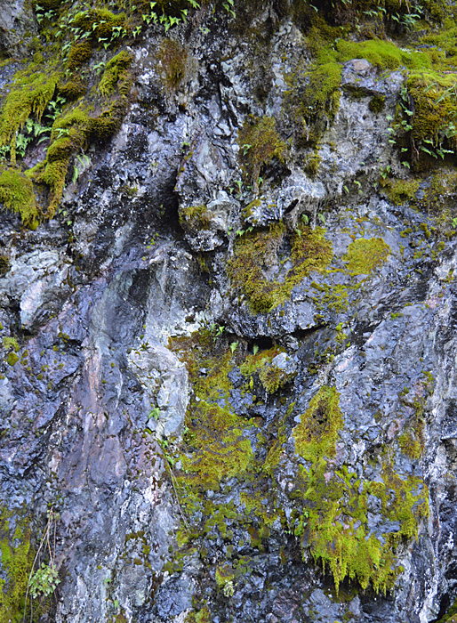 On The Road - Mike in Oly - Texture & Pattern in Nature: Stone 6