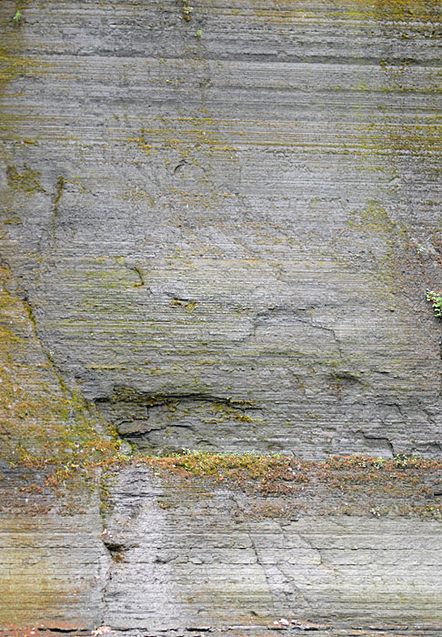 On The Road - Mike in Oly - Texture & Pattern in Nature: Stone 5