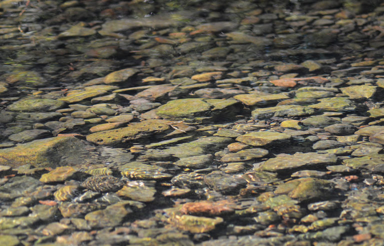 On The Road - Mike in Oly - Texture & Pattern in Nature: Stone 2