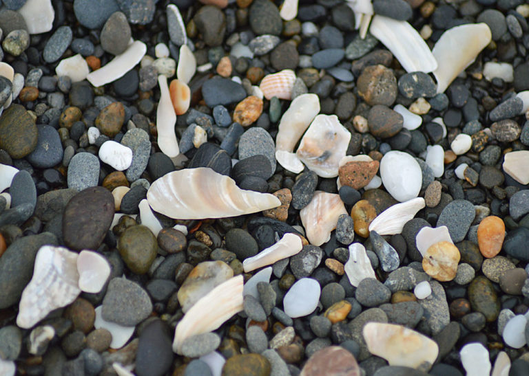 On The Road - Mike in Oly - Texture & Pattern in Nature: Stone