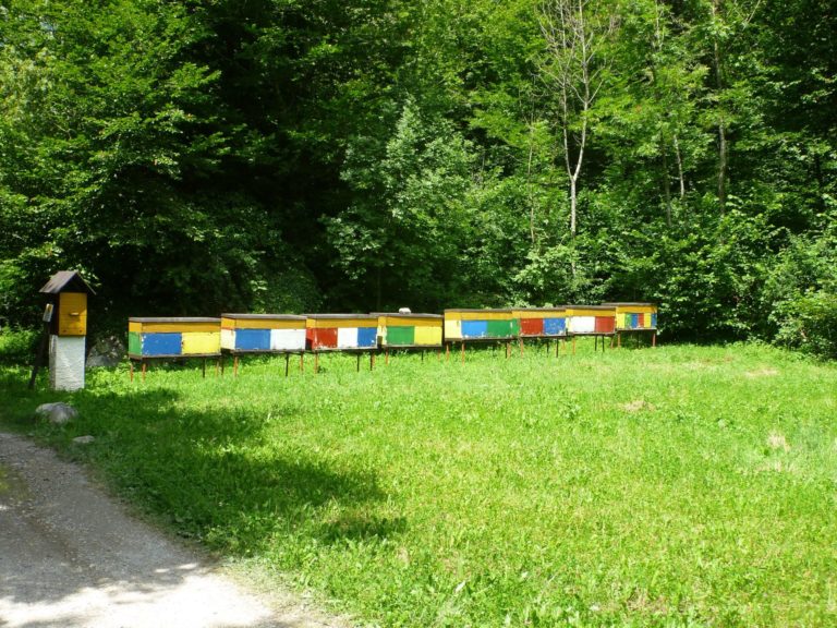 On The Road - way2blue - Bovec, Slovenia 2